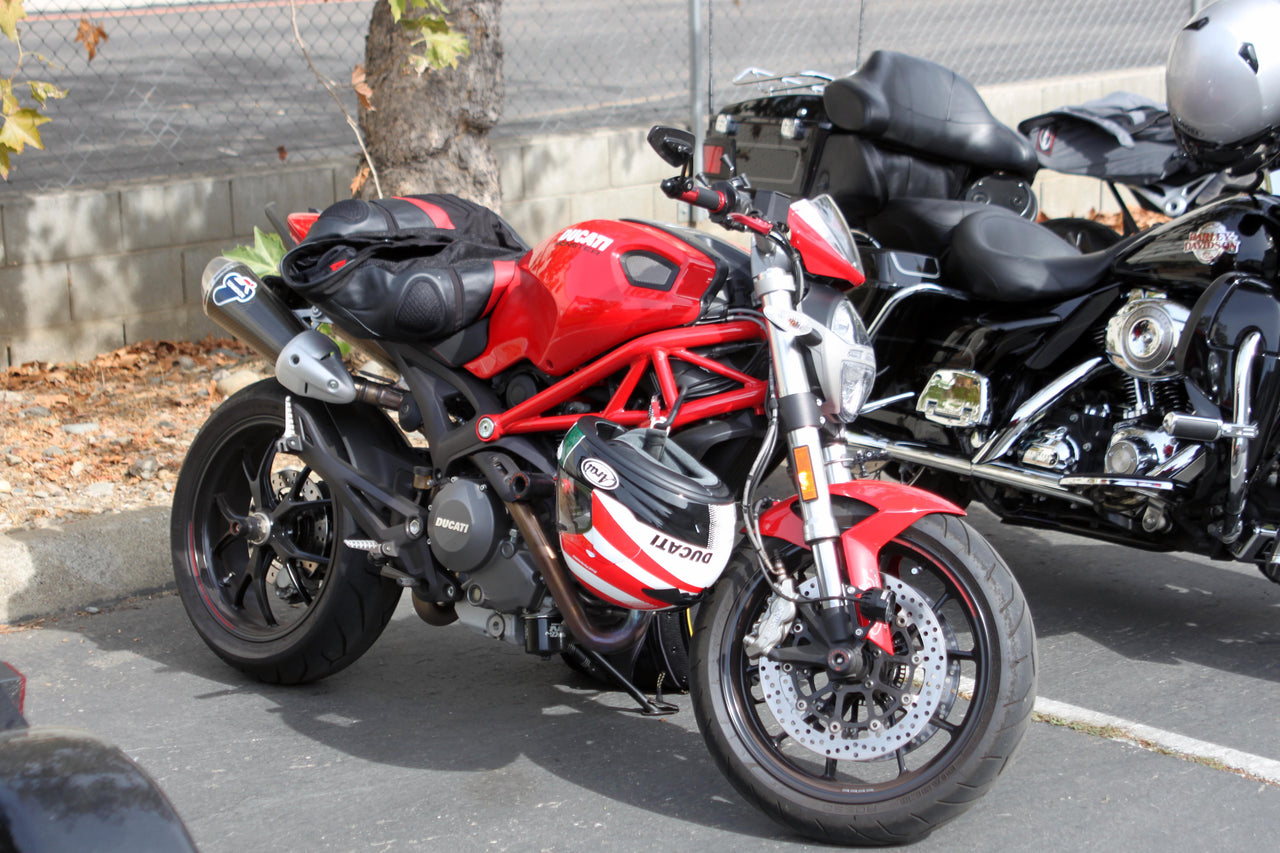 Darla (Ducati Monster)