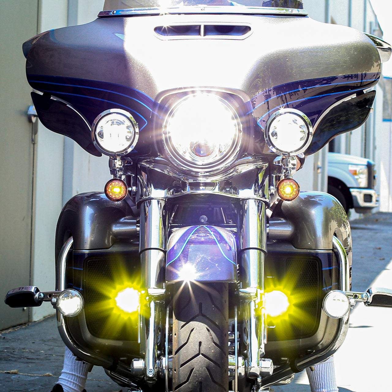 Darla (Electra Glide)