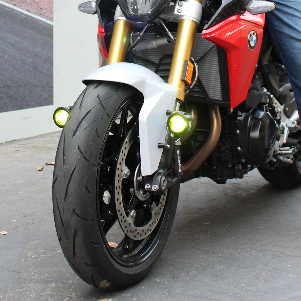 Darla (F900R) (2019+)