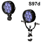 Sevina (S1000XR) - Clearwater Lights