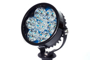 Super Sevina  - Handheld - Clearwater Lights